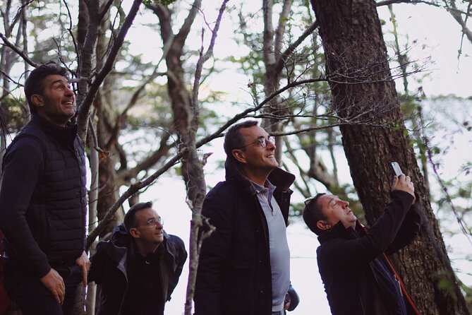 Half-Day Tierra del Fuego National Park with Train - Logistics That Matter, Time, Group Size, and Comfort