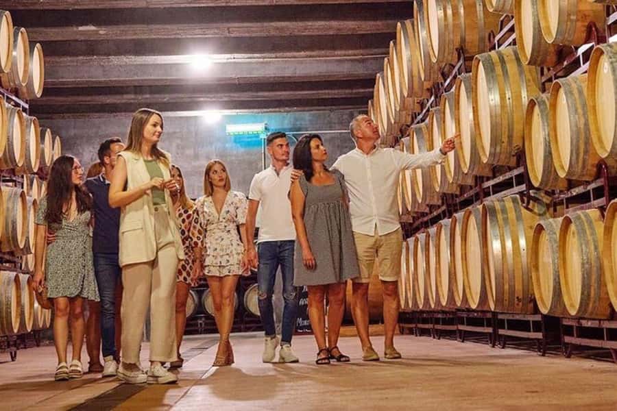 Half Day Tour of Wineries and Olive Oil from Mendoza - Maipú in a Half Day: Wine and Olive Oil Together