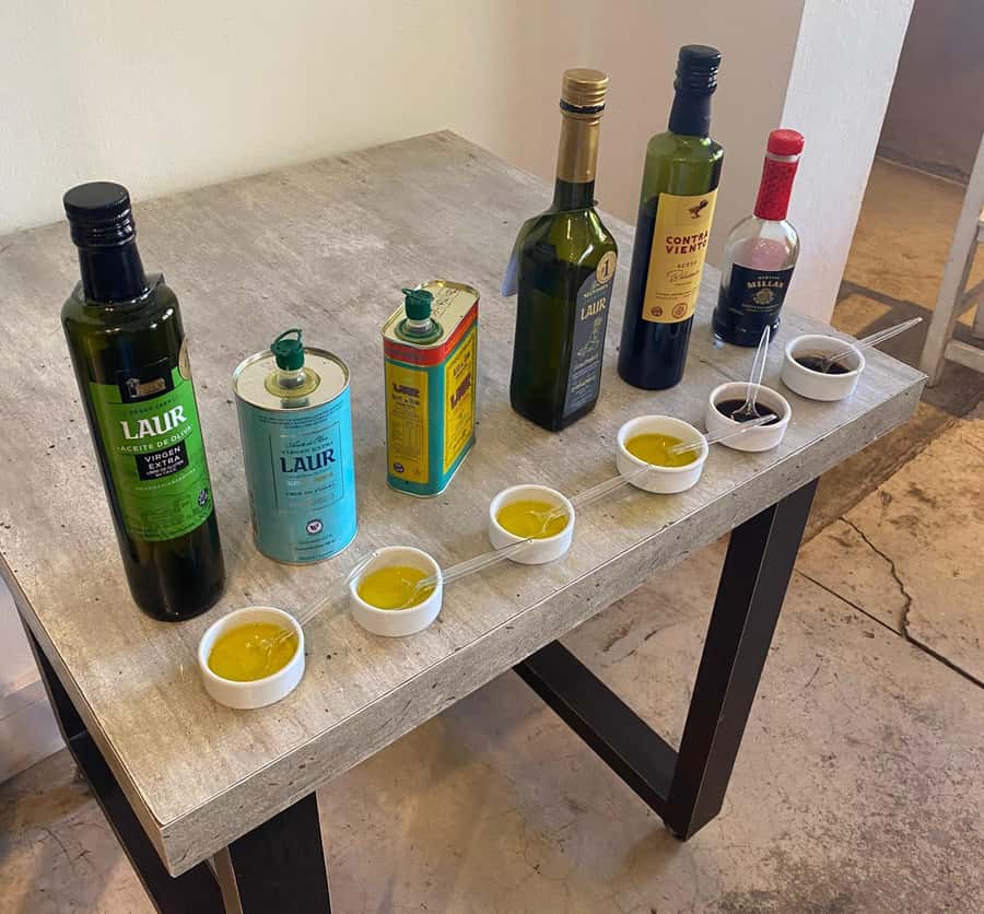Half Day Tour of Wineries and Olive Oil from Mendoza - Timing: How the 5 Hours Usually Feels