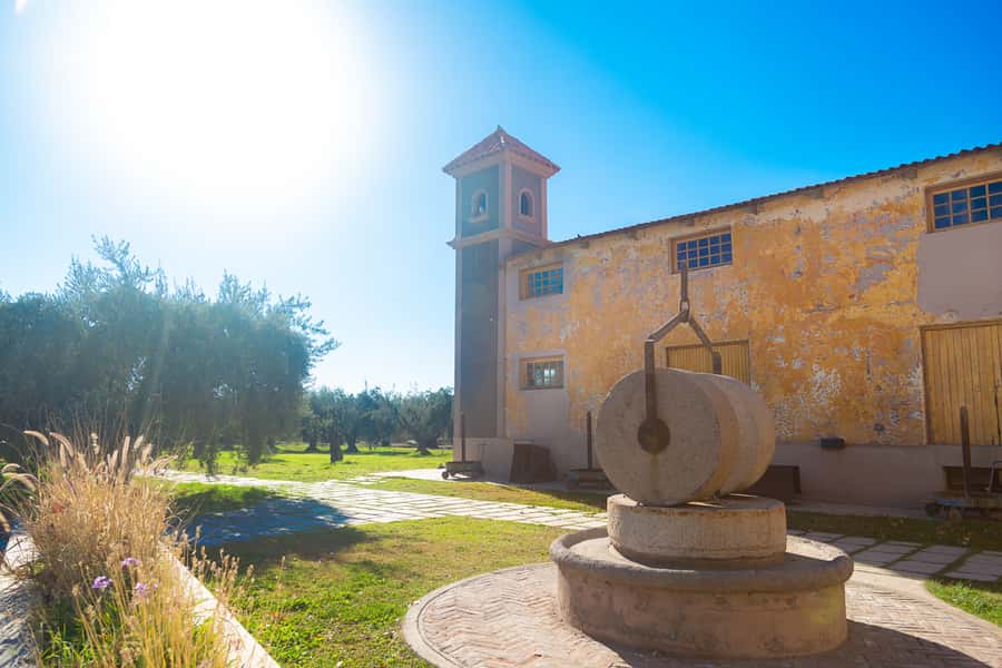 Half Day Tour of Wineries and Olive Oil from Mendoza - Price and Value: What $80 Covers (and What It Does Not)