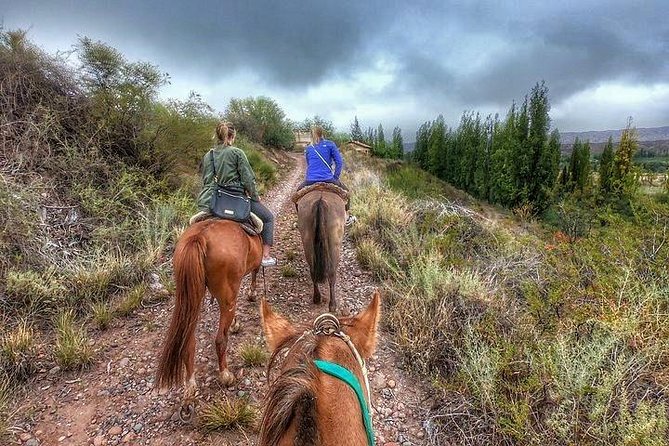 Horseback ride through vineyards followed by gourmet lunch - Key things that make this tour worth your time