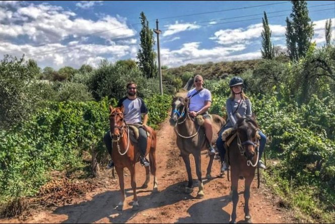 Horseback ride through vineyards followed by gourmet lunch - Terruño at Club Tapiz: multi-course BBQ lunch with wine pairings