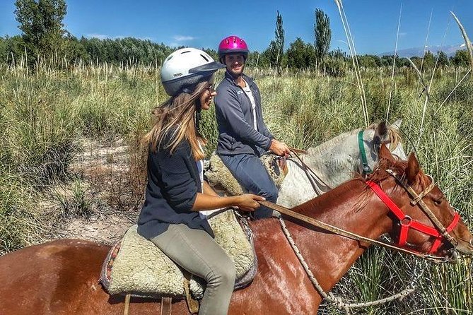 Horseback ride through vineyards followed by gourmet lunch - The 90-minute horseback ride: vineyards, olive groves, and the Rio Mendoza