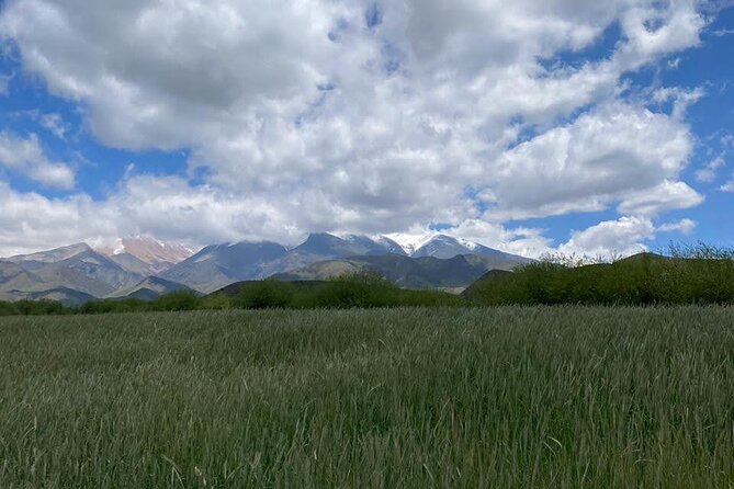 Horseback riding and barbecue in a private ranch - La Carrera, Mendoza - Getting to 2000 meters: transportation, timing, and what to expect