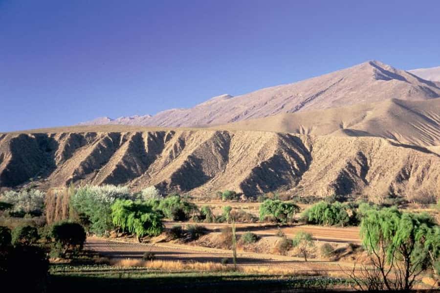 Humahuaca Valley Multicultural Tour from Salta - Tilcara: A Break From Pure Scenery Into Everyday Culture