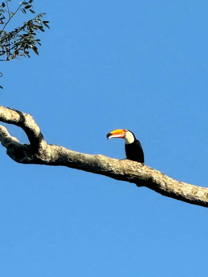 Iguassu Falls: Private Tour Argentina side - Practical day-of tips: Passport, footwear, and park rules