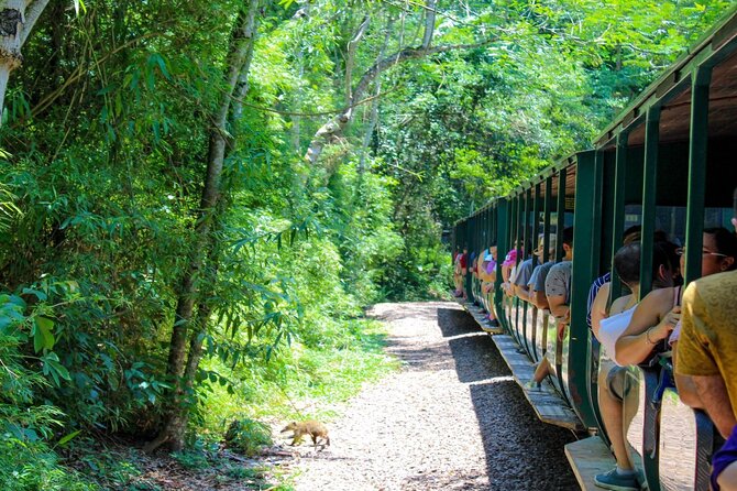 Iguazu Falls: Argentinian Side with Boat Ride, Jungle-truck and Train - Jungle Time After the Boat: Movi-Trucks and an 8 km Forest Loop