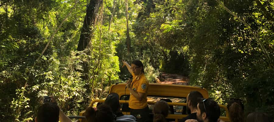 Iguazu Falls: Gran Aventura Boat and Argentinian Falls Tour - Jungle 4x4 after the falls: a different kind of Iguazu day