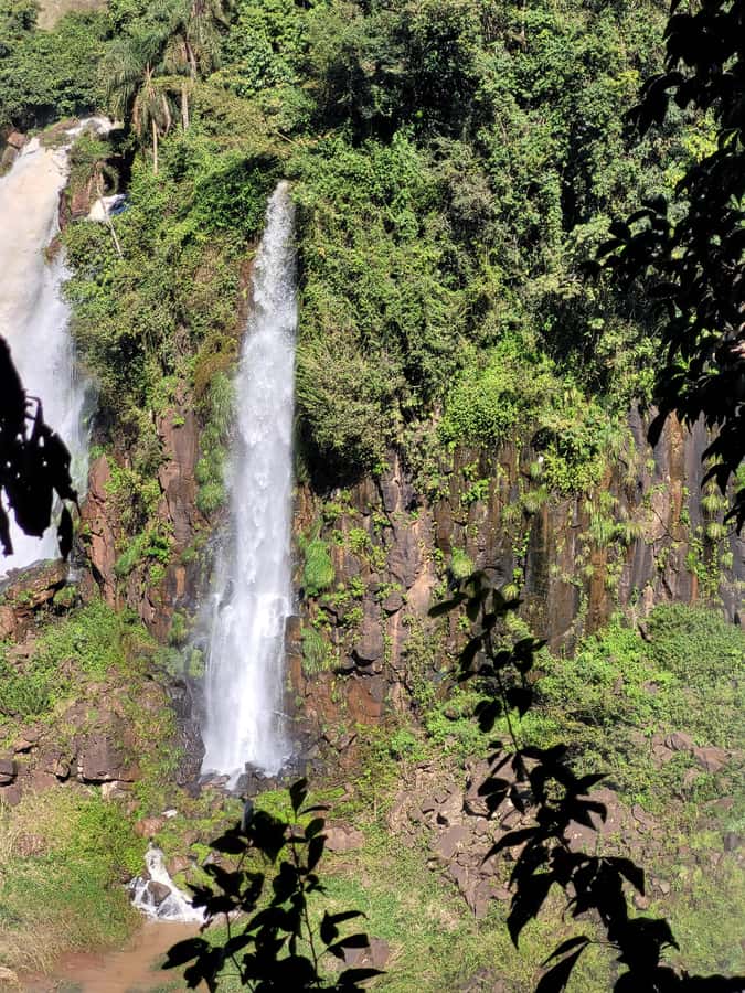 Iguazu Falls: Guided Tour in Argentinean Side - Key highlights at a glance