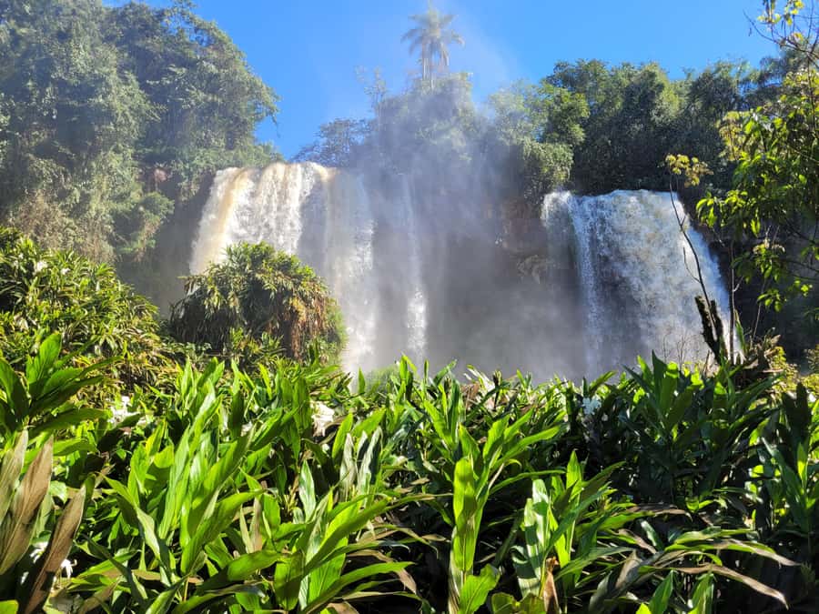 Iguazu Falls: Guided Tour in Argentinean Side - Devil’s Throat Experience: Sound, Mist, and Why It’s the Best First Choice