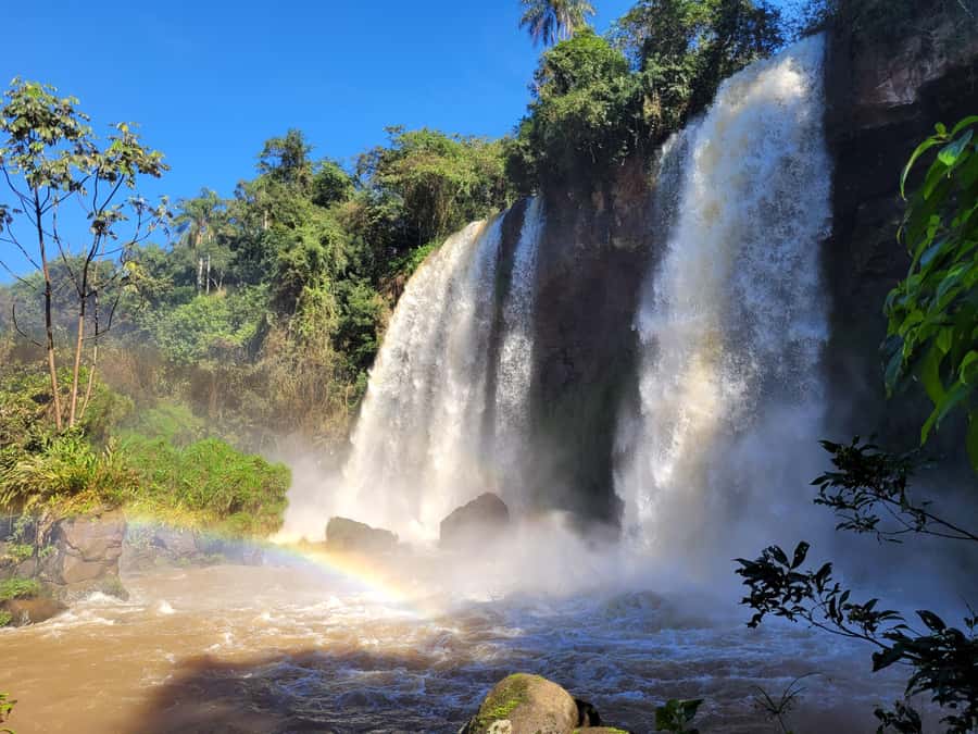 Iguazu Falls: Guided Tour in Argentinean Side - Lower Trail (2.5 km): Where You Get Closer and the Mist Wins