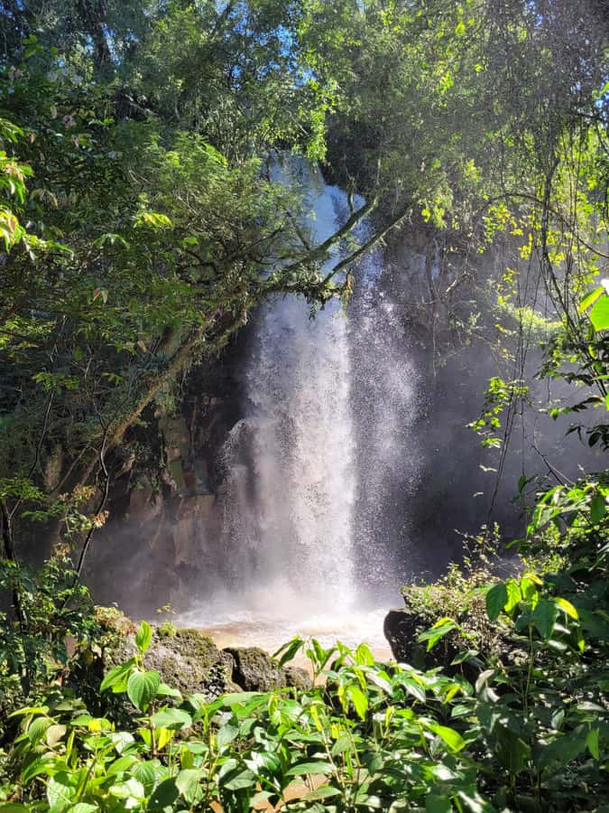 Iguazu Falls: Guided Tour in Argentinean Side - Optional Swap: Jungle Gran Aventura Boat Ride and Shower Under the Falls