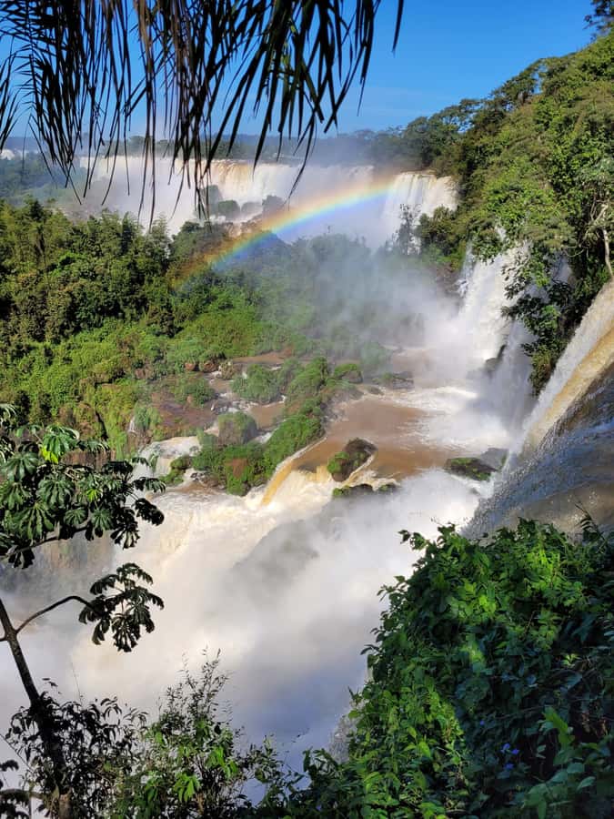 Iguazu Falls: Guided Tour in Argentinean Side - Your Guide: How Pedro, Agostinho, and Others Make This Tour Worth It