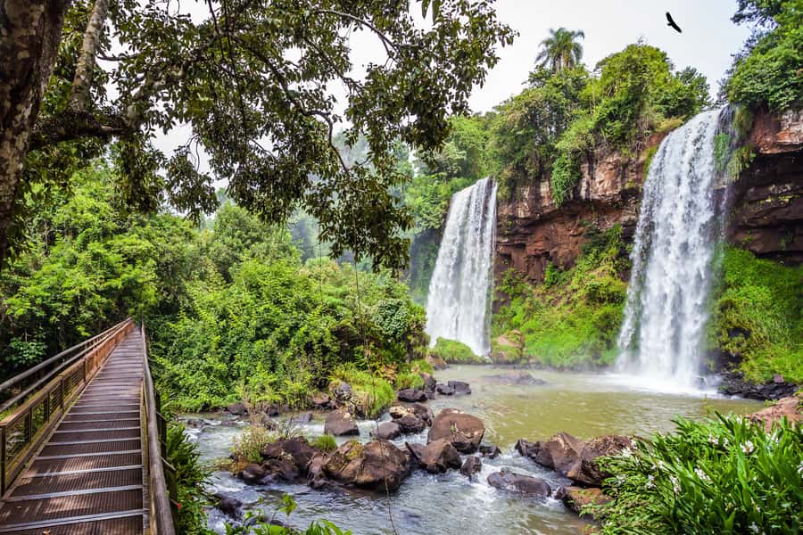 Iguazú Falls: The Natural Wonder of Argentina - Iguazú Falls from the Argentine side: why this day feels so special
