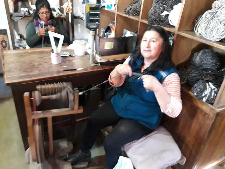 Indigenous People of Patagonia History Tour - Who this tour is best for (and who might want more)