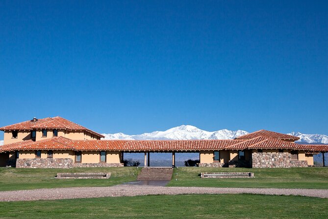 Lujan Deluxe - Full day - Premium Wine Tour with Gourmet Lunch - Stop 2: Casarena in Agrelo, old-vine heritage meets new energy