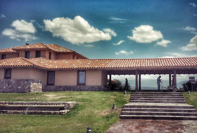 Lujan Deluxe - Full day - Premium Wine Tour with Gourmet Lunch - Stop 3: Finca Minimal and the 6-course gourmet lunch in an 1905 Malbec vineyard