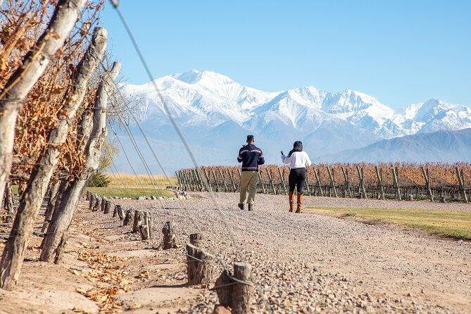 Lujan Deluxe - Full day - Premium Wine Tour with Gourmet Lunch - Clock, comfort, and the small-group format