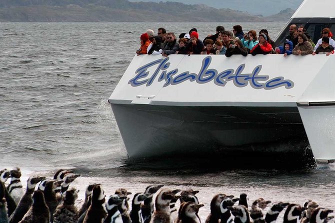 Martillo Island: Boat Trip to the Penguin Colony & Beagle Channel - Price and value for a full wildlife-and-channel day