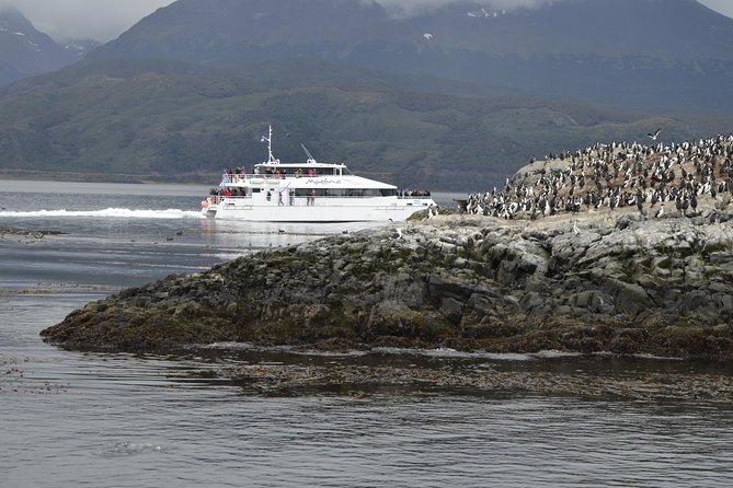 Martillo Island: Boat Trip to the Penguin Colony & Beagle Channel - Who should book this Martillo Island boat trip?