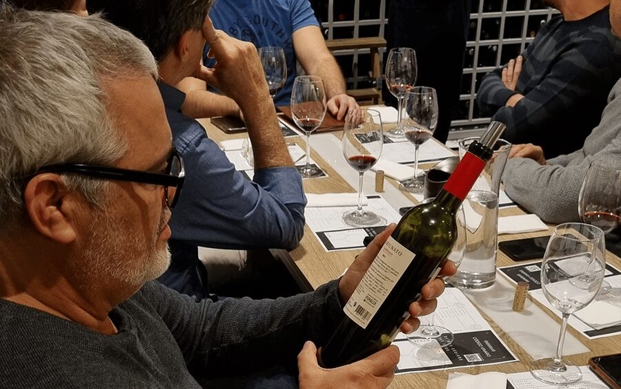 Mendoza: Classic Wine Tasting - Price and value: $44 for guided pours, not a full winery day