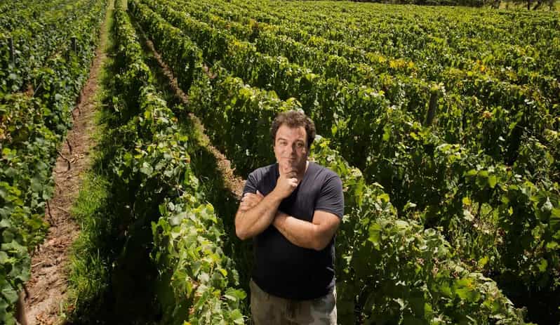Mendoza: El Enemigo and Casa Vigil Wine Tour - Service and satisfaction: what the strongest feedback points to
