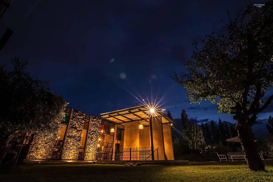 Mendoza: El Enemigo and Casa Vigil Wine Tour - Who this Mendoza tour fits best