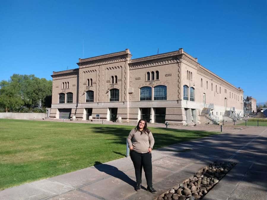Mendoza: Full Day Wine Tour with 3 Course Lunch - Key things to know before you go