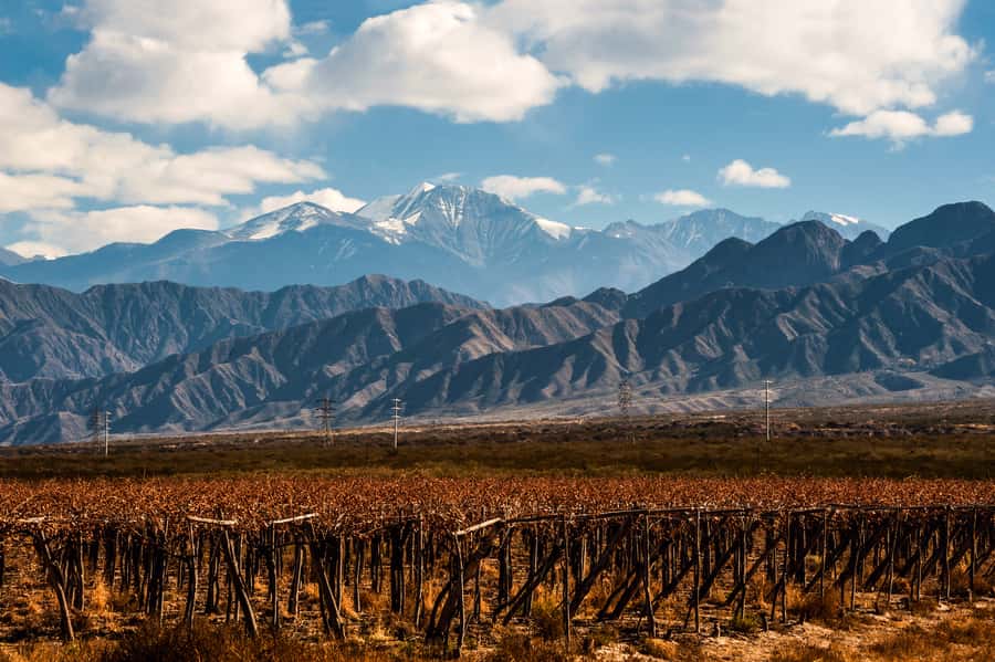 Mendoza: Full Day Wine Tour with 3 Course Lunch - How the Tour Runs: Pickup, Timing, and Two Winery Stops