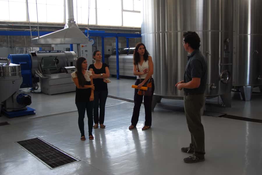 Mendoza: Full Day Wine Tour with 3 Course Lunch - Lunch at the Winery: Three Courses Plus Wine Pairing
