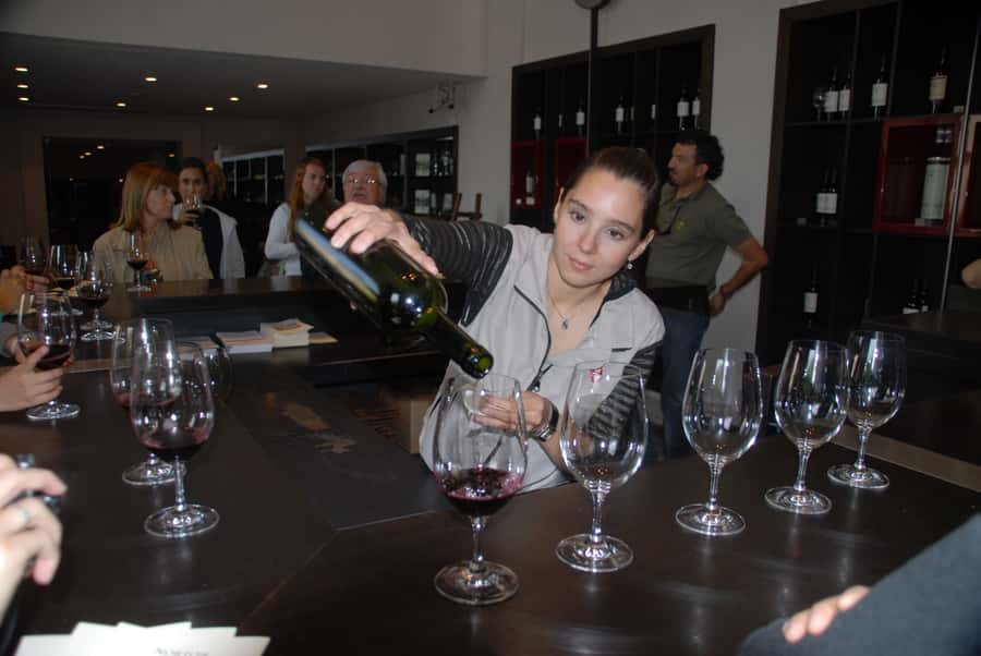 Mendoza: Full Day Wine Tour with 3 Course Lunch - Price and Value: Why $153 Can Make Sense in Mendoza