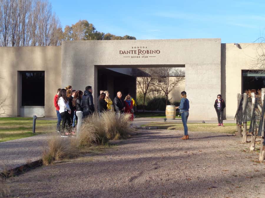 Mendoza: Half-Day Wine Tour with Tastings - Entering Mendoza wine country: why this half-day works