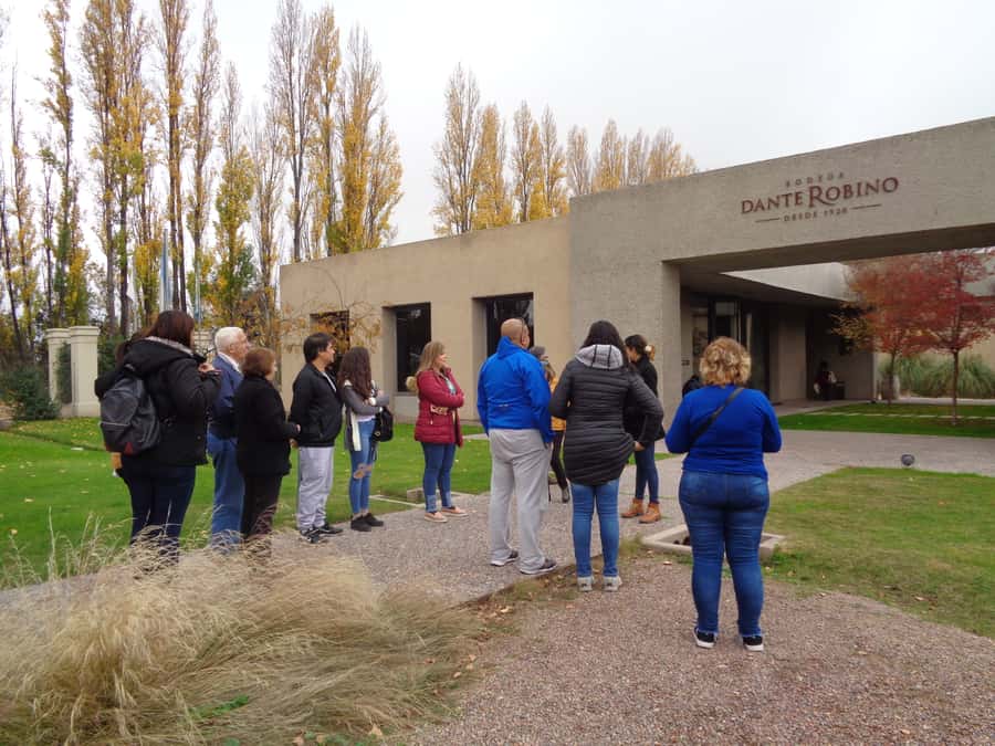 Mendoza: Half-Day Wine Tour with Tastings - Pickup in Mendoza City: where to find the bus