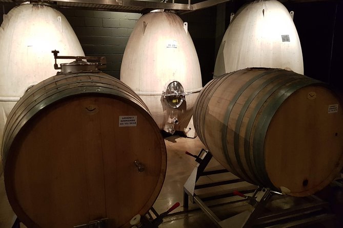 Mendoza Hop-On Hop-Off Wine Tour - Key points before you go