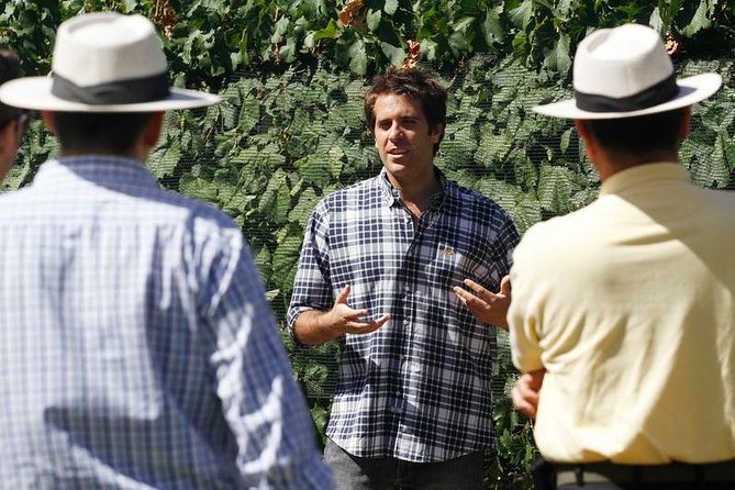 Mendoza Hop-On Hop-Off Wine Tour - Entering Mendoza’s wine routes the easy way