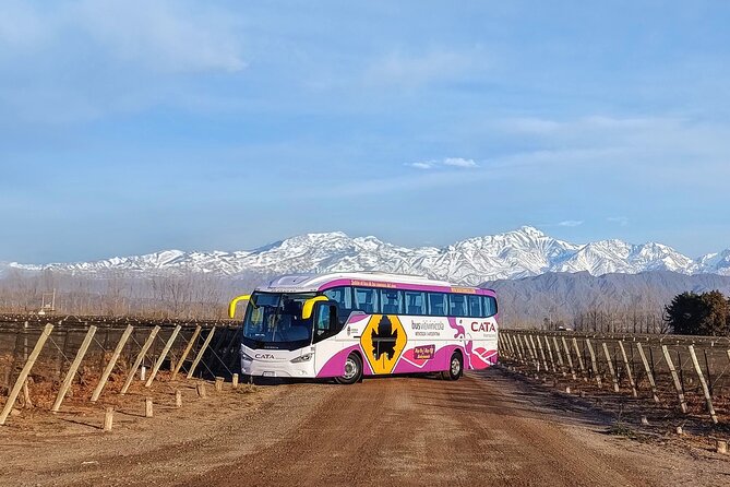 Mendoza Hop-On Hop-Off Wine Tour - How hop-on hop-off works in the real world
