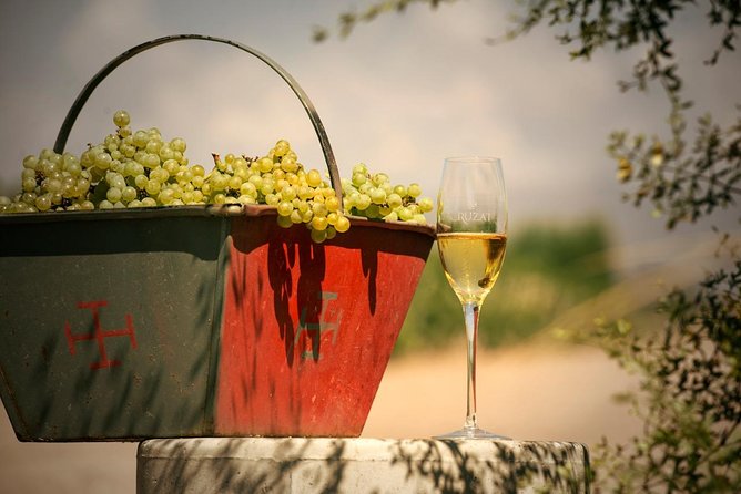 Mendoza Hop-On Hop-Off Wine Tour - Maipú on the calendar: Camino del Vino y Olivos de Maipú