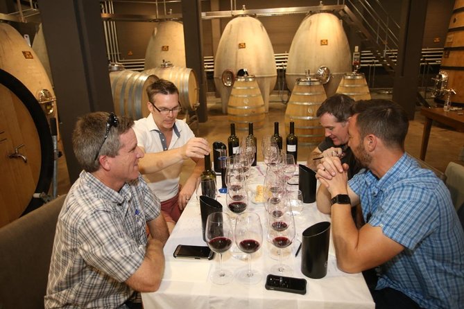 Mendoza Hop-On Hop-Off Wine Tour - El Sol route: Camino del Vino in a sunny wine zone