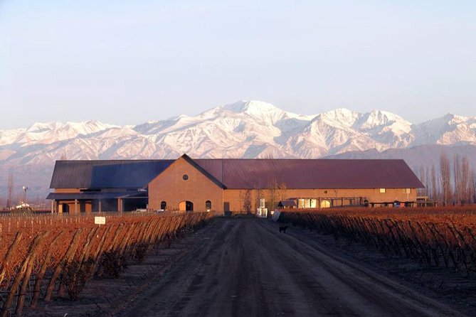 Mendoza Hop-On Hop-Off Wine Tour - Luján de Cuyo: Malbec-focused days and flexible half-day options