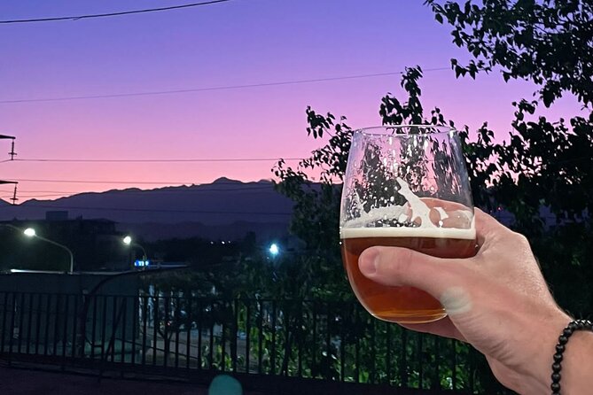 Mendoza: Make an Argentine Asado BBQ w/ Local Host & Wine Tasting - Rooftop Views, Two Flights of Stairs, and the Indoor Living Room Plan