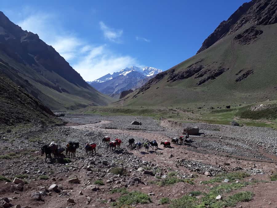 Mendoza: Mt. Aconcagua Confluencia Camp Trekking - The Confluencia hike: pacing, altitude, and what you are actually doing