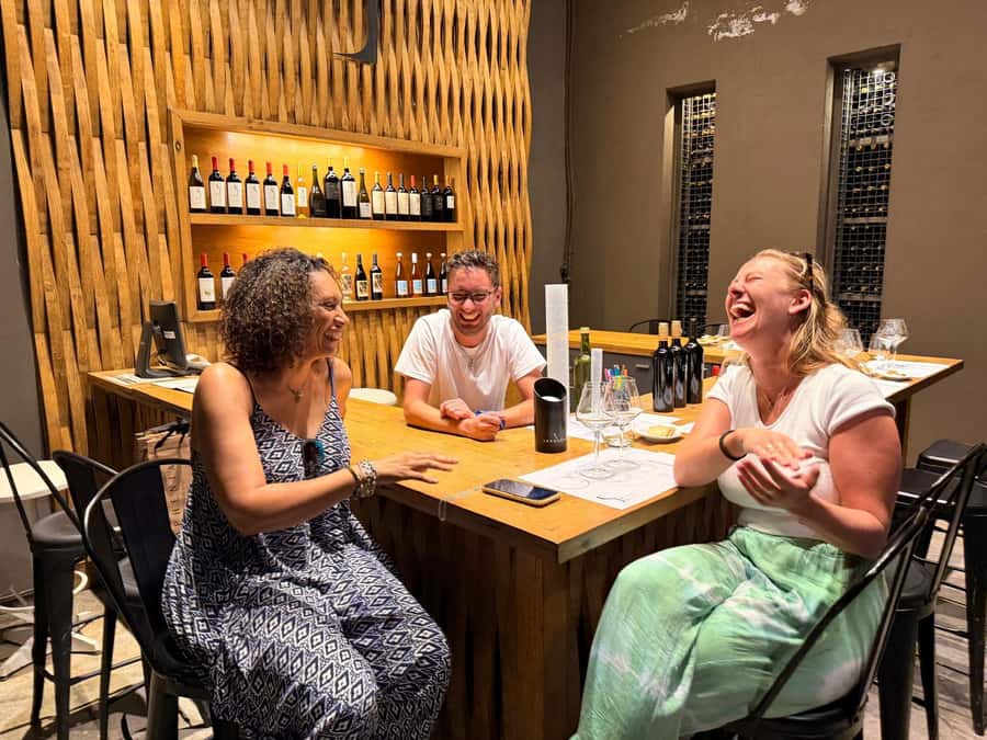 Mendoza's top wineries ! All Inclusive Private Tours! - Price and Logistics: Why $230 Works for a Private 9-Hour Day