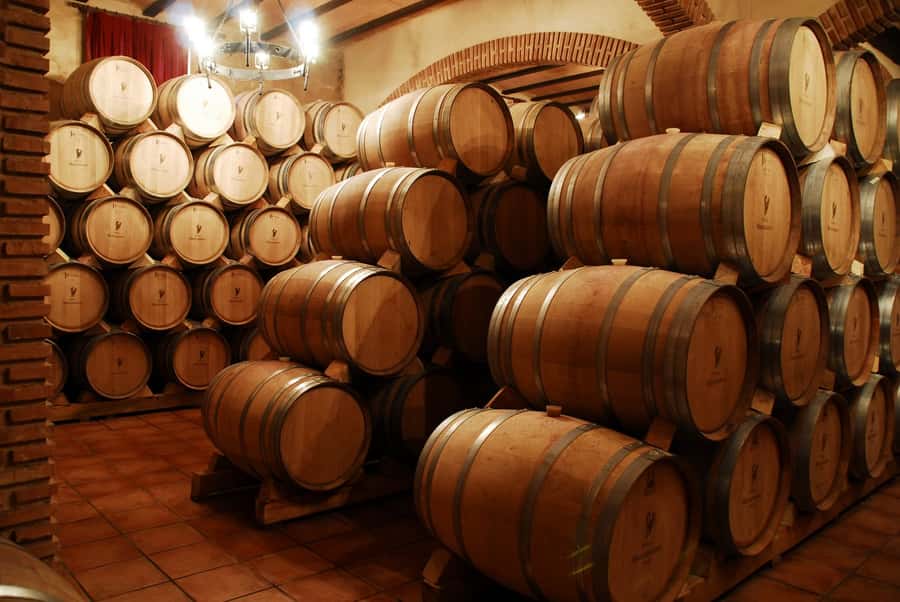 Mendoza: Small-Group Wineries Tour with Tasting and Lunch - Luján de Cuyo vineyards: the irrigation lesson that changes how you taste