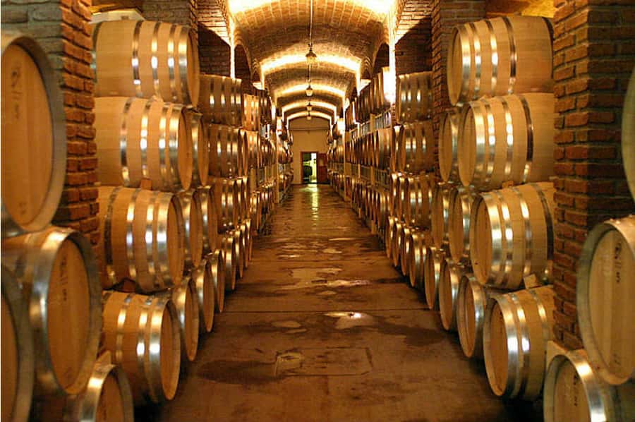 Mendoza: Small-Group Wineries Tour with Tasting and Lunch - Lunch of regional specialties: fuel for tastings and conversations