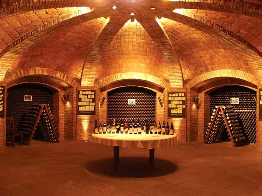 Mendoza: Small-Group Wineries Tour with Tasting and Lunch - Pickup and the 8-hour rhythm in real Mendoza time