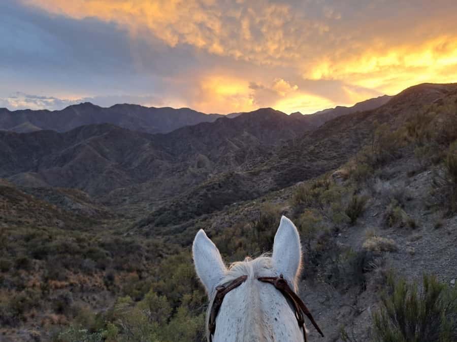 Mendoza: Sunset Horse Back Riding in the Mountains and BBQ - Key highlights to know before you go