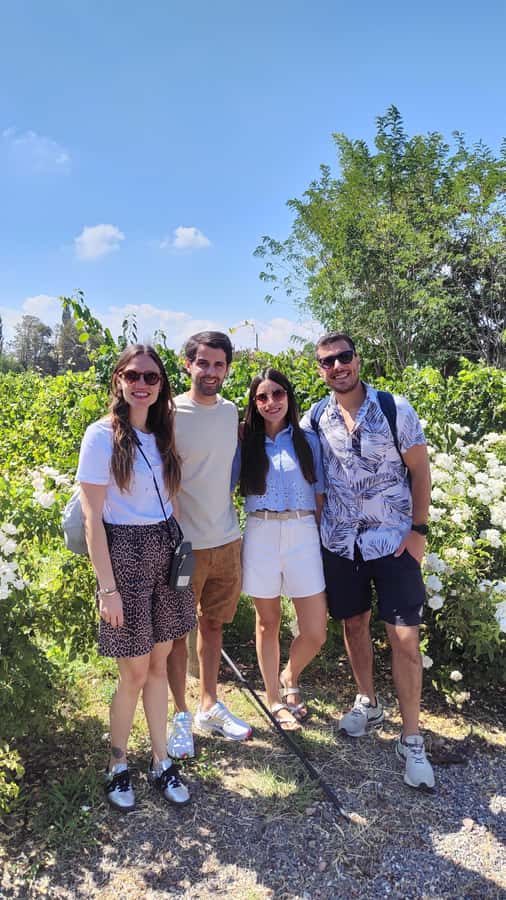 Mendoza: Top Wineries Guided Tour with Transportation - A smooth 9-hour Mendoza plan, built around transportation