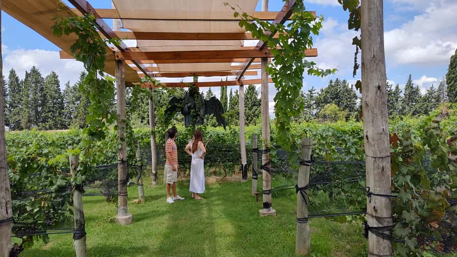 Mendoza: Top Wineries Guided Tour with Transportation - Luján de Cuyo classics or the Uco Valley adventure route