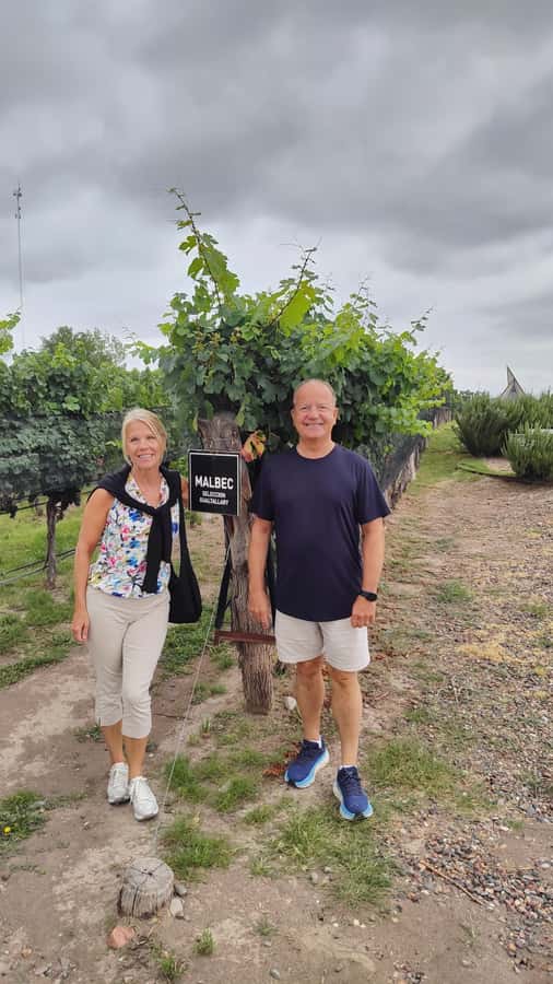 Mendoza: Top Wineries Guided Tour with Transportation - Stop 1 and 2: tastings with guided winery tours