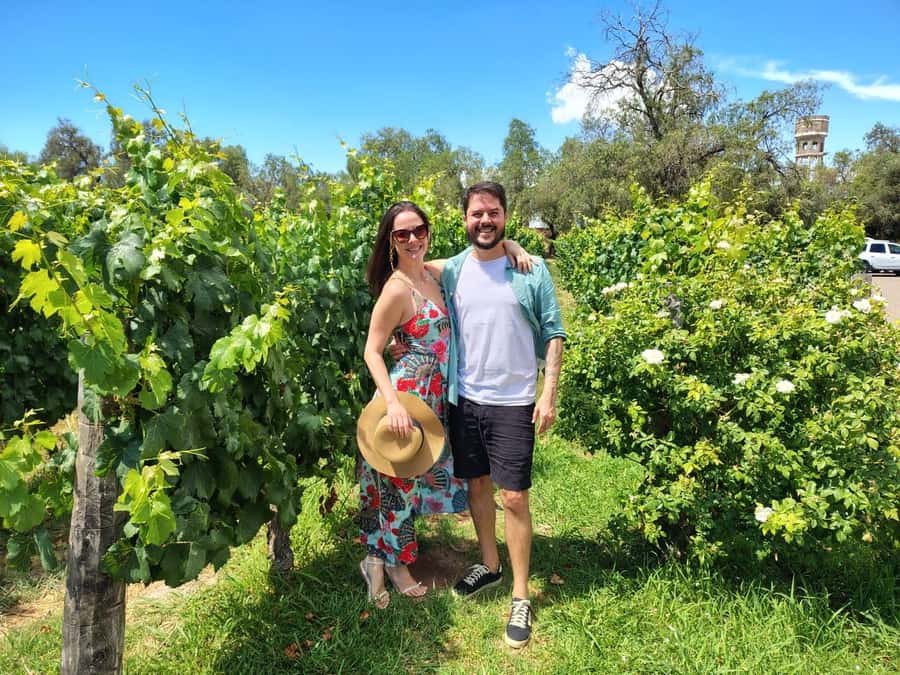 Mendoza: Top Wineries Guided Tour with Transportation - The lunch stop: paired wines, real food time, and Mendoza hospitality